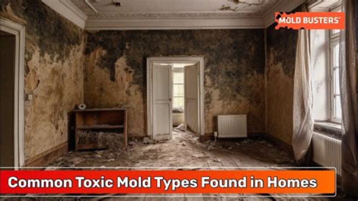 Are modern homes toxic?
