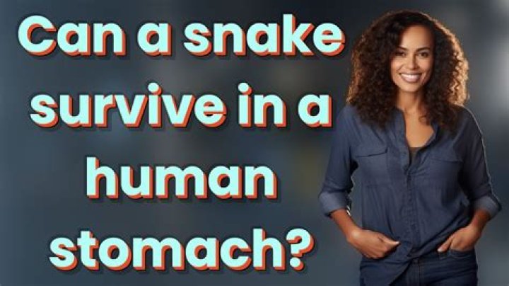 Can a snake survive in a human stomach?