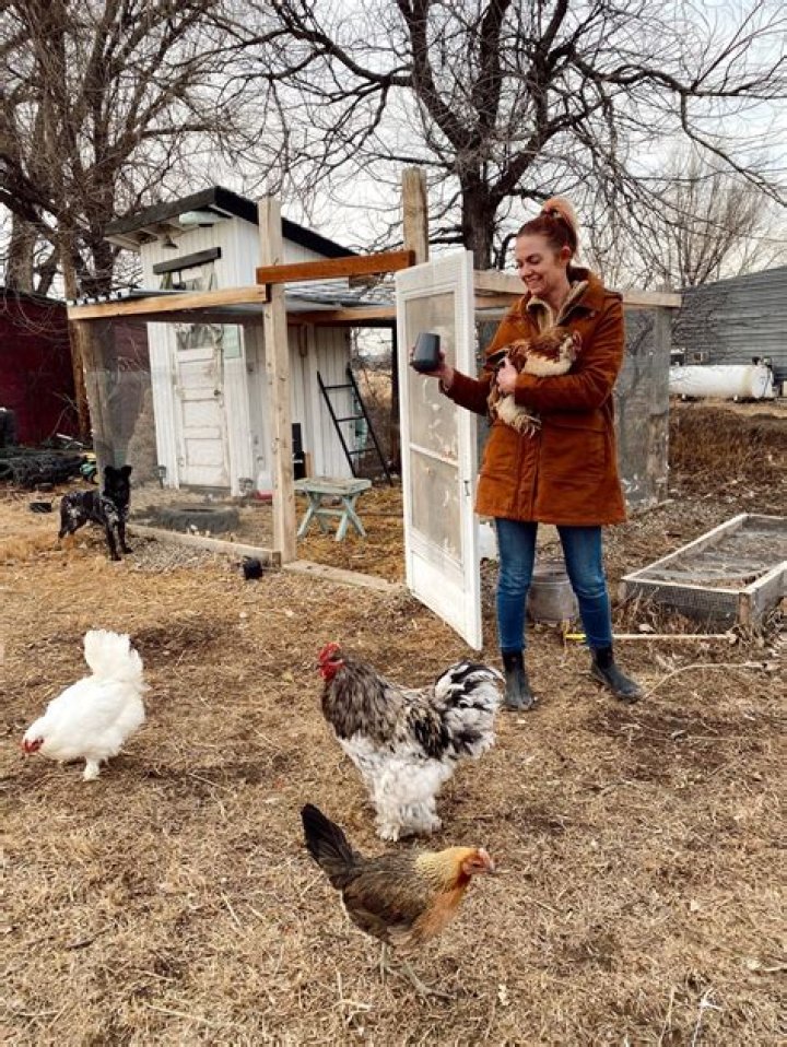 Can chickens recognize faces?