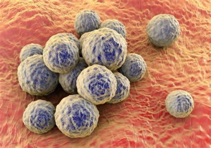 Can ciprofloxacin treat Staphylococcus aureus?