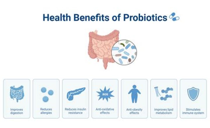 Can probiotics help anxiety?