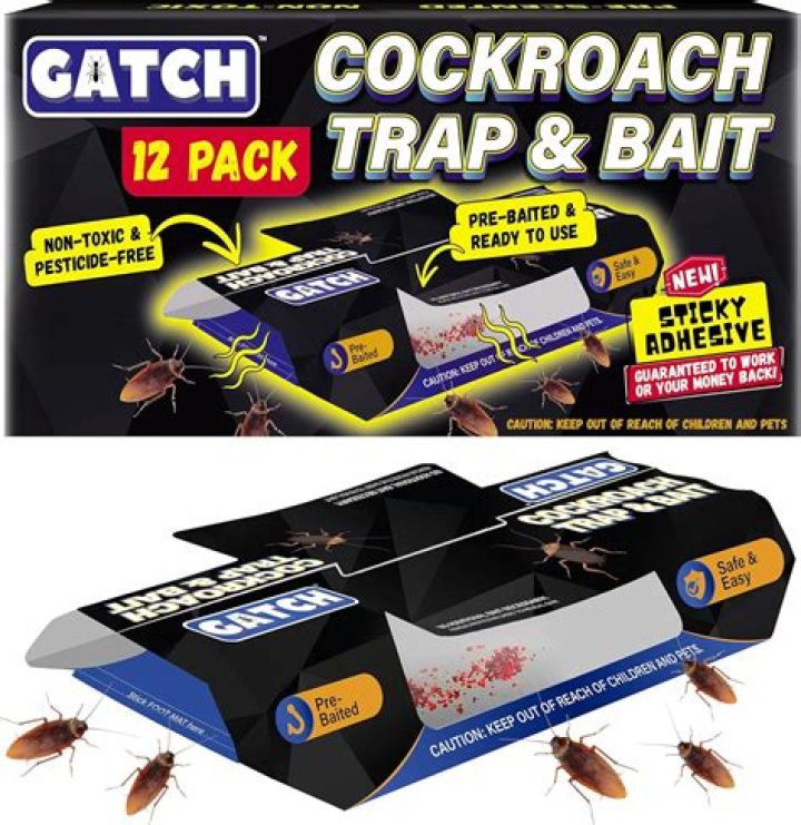 Can roaches hear?