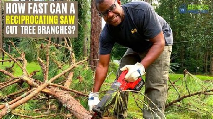 Can you cut roots with a chainsaw?