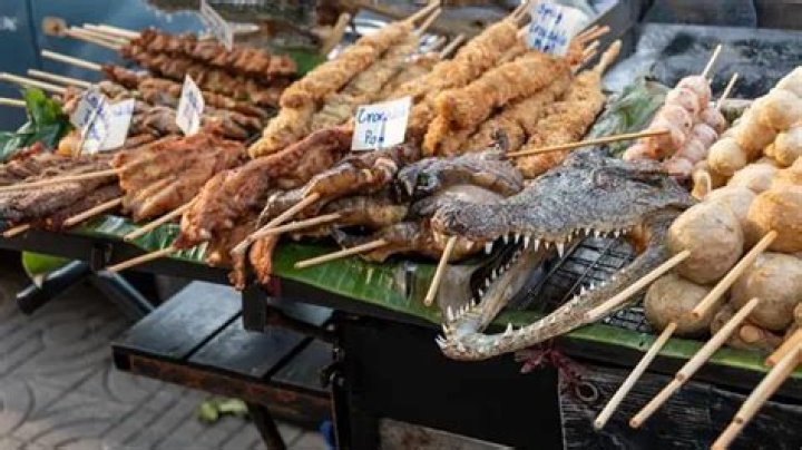 Can you eat crocodile?