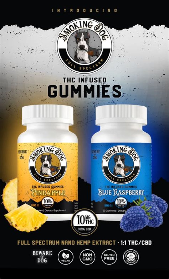 Can you give a dog CBD gummies?