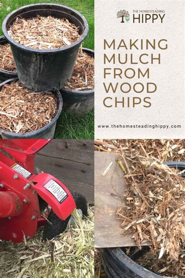 Can you move wood chips in golf?