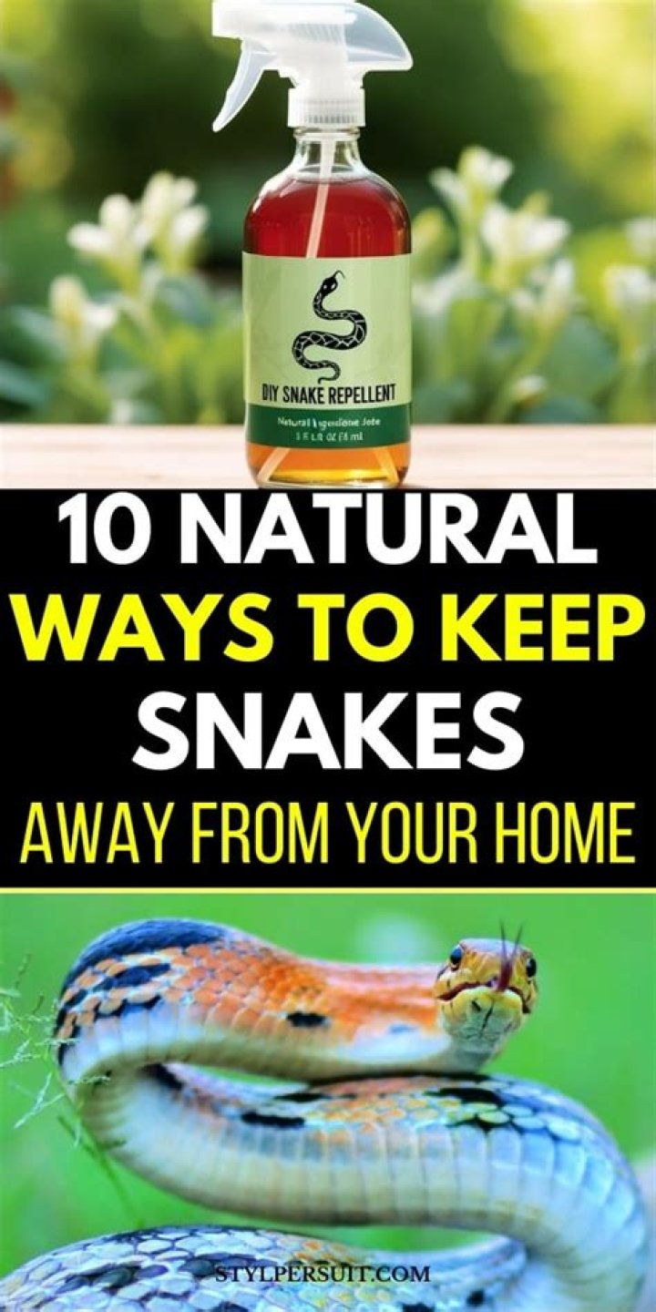 Can you spray something to keep snakes away?