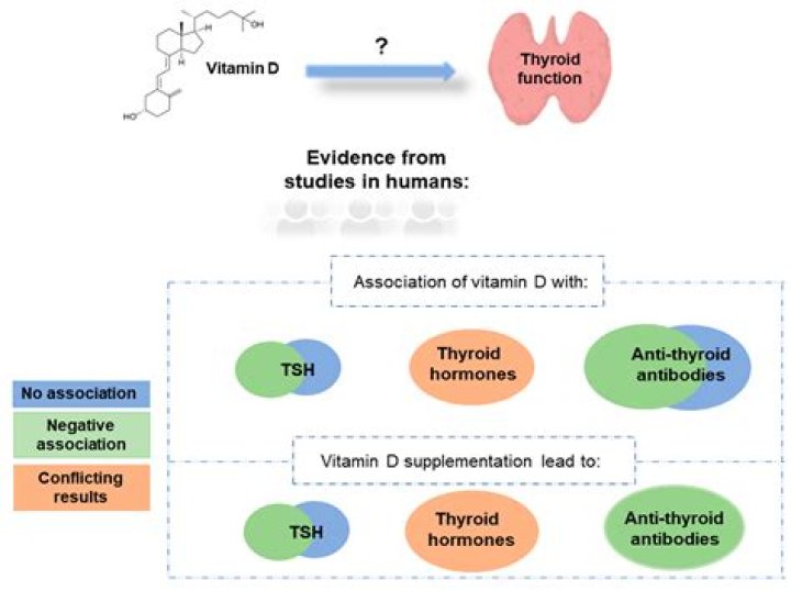 Can you take vitamin D and thyroid medication together?