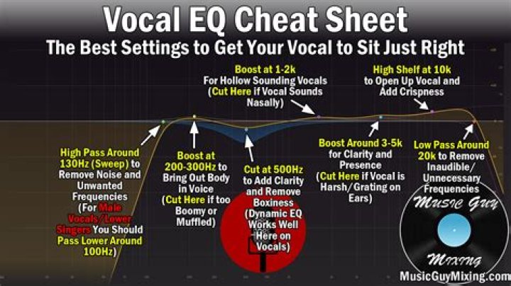 Did Elvis have a good singing voice?