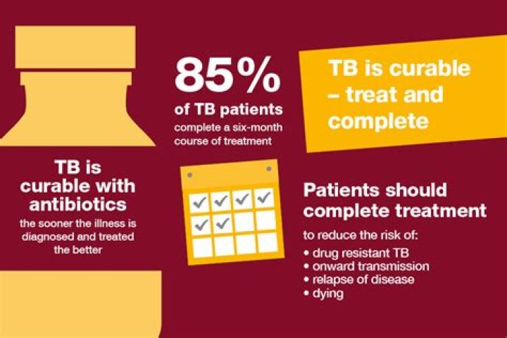 Do antibiotics cure TB?