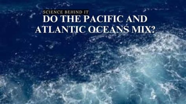 Do Atlantic and Pacific salmon taste different?