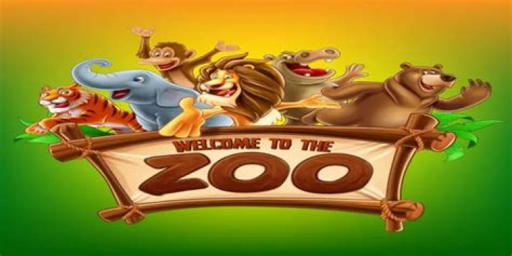 Do vegans go to the zoo?