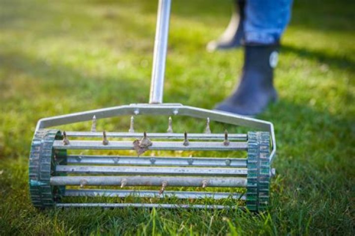 Does aerating lawn get rid of weeds?