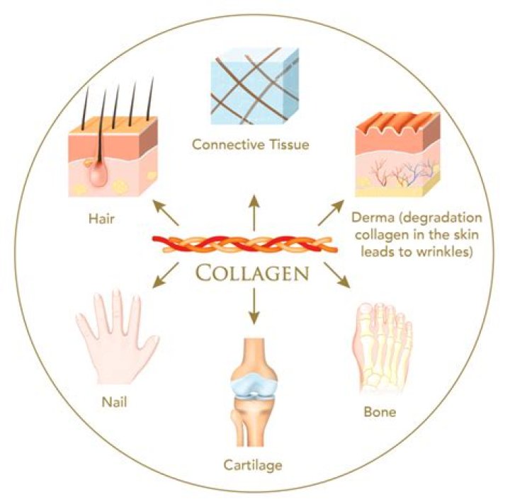 Does Dermarolling increase collagen?