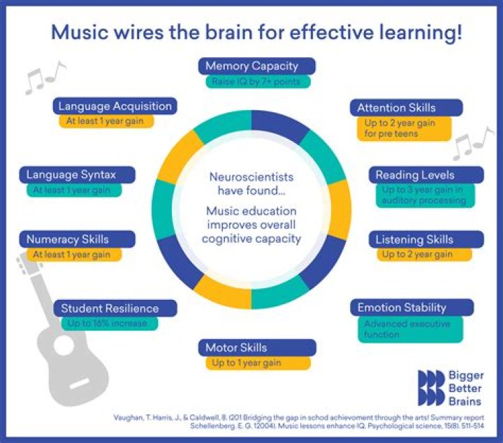 Does learning an instrument change your brain?