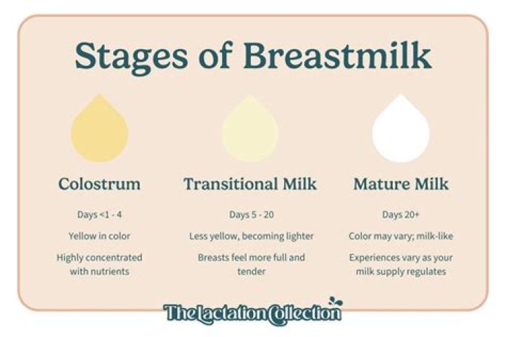 Does milk have egg?