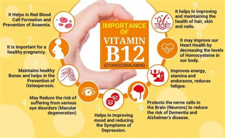 Does vitamin B12 help Alzheimer's?