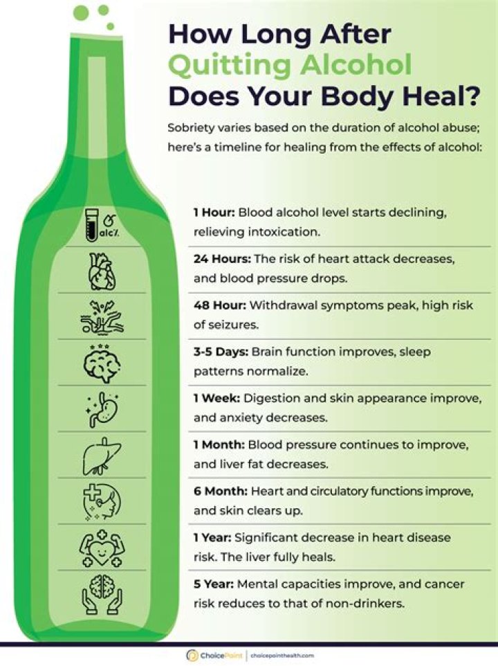 Does your brain heal after drinking?