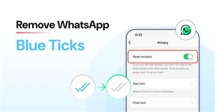 How can I read WhatsApp messages without blue ticks?