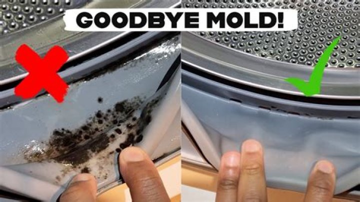 How do I keep mold out of my Waterpik?