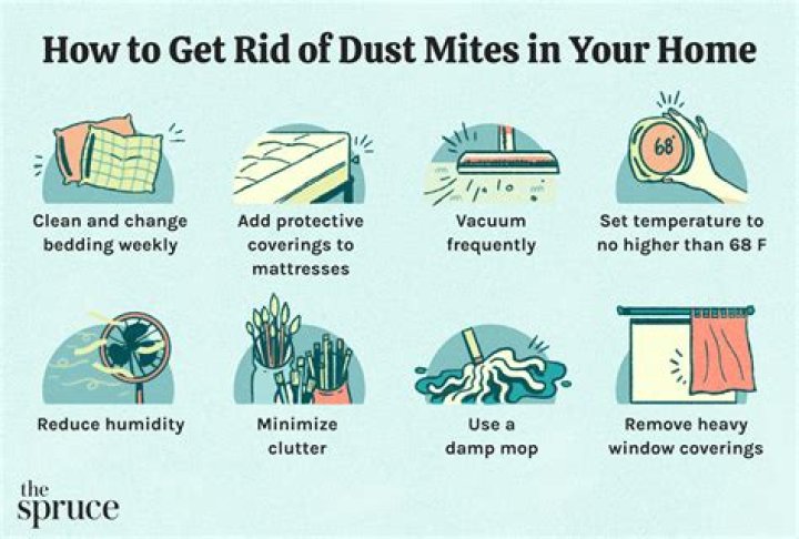 How do I prevent dust mites in my bedroom?