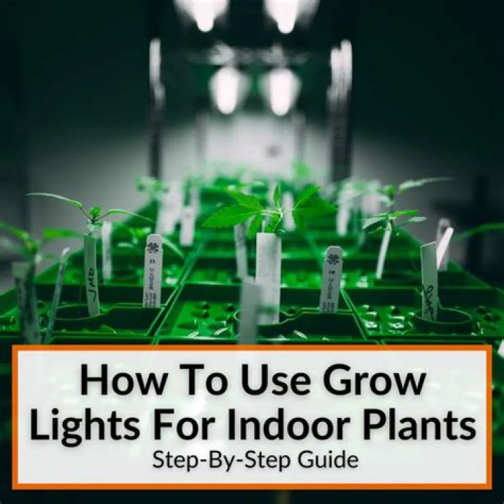 How do you use grow lights?