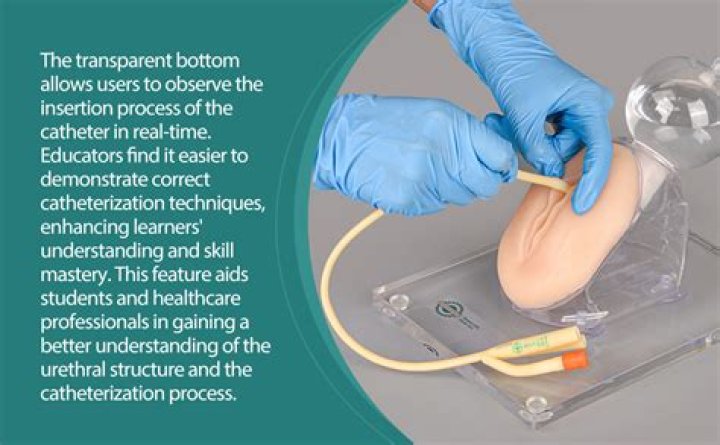 How is a catheter inserted into a male patient?