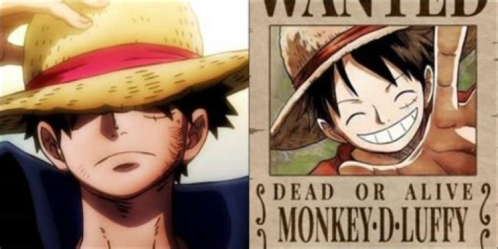 How many berries is Luffy wanted?