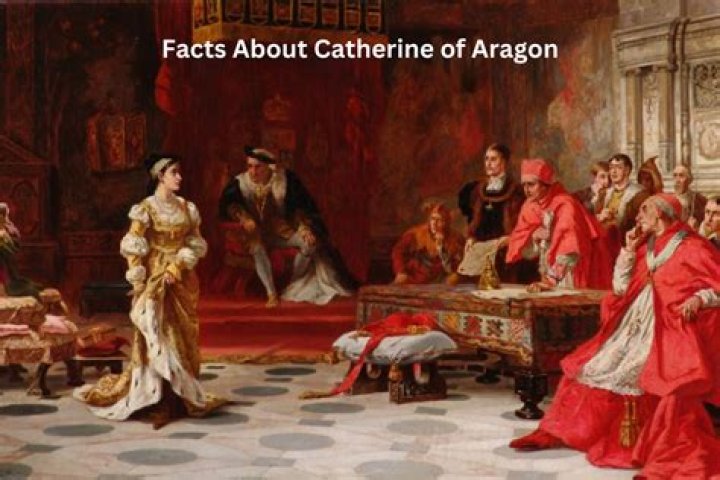 How many pregnancies did Catherine of Aragon have?