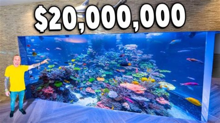 How much is 20000 hours?