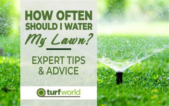 How often should I apply soil wetter?