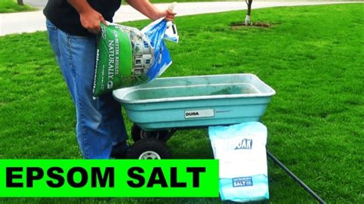 How often should I use Epsom salt on my lawn?