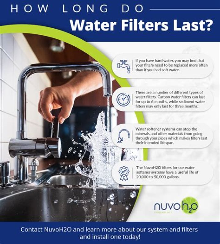 How often should you change a birds water?