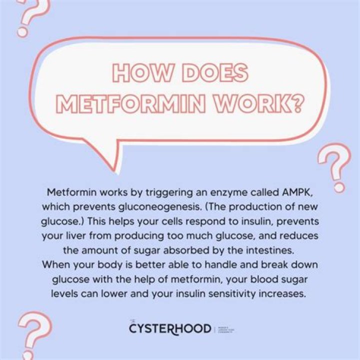 How quickly does metformin work?
