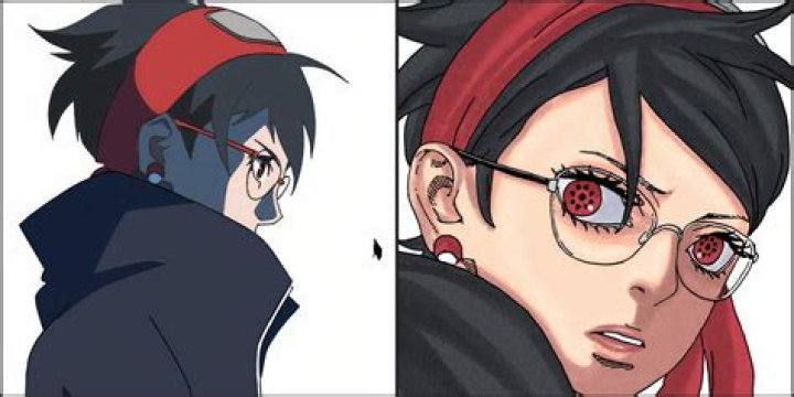 Is Himawari a ninja?