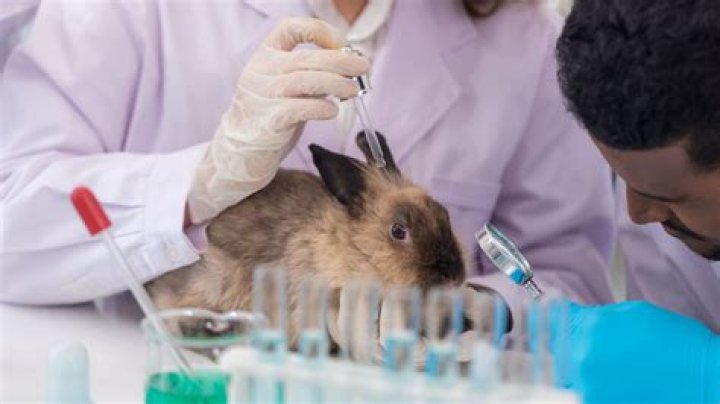 Is Nivea tested on animals?