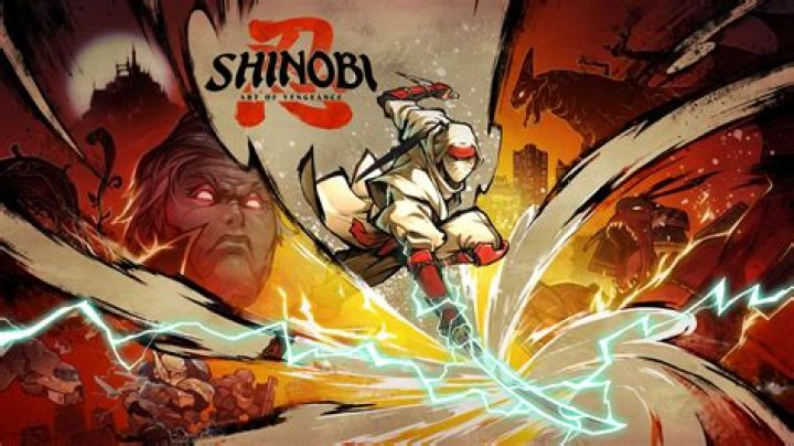 Is shinobi a samurai or a ninja?