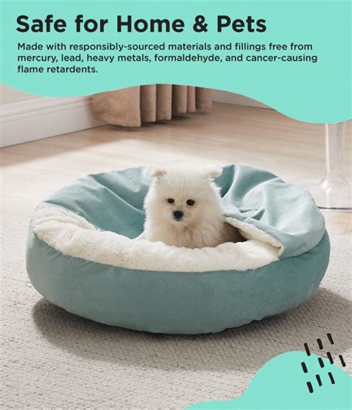 Is tide safe for dogs?