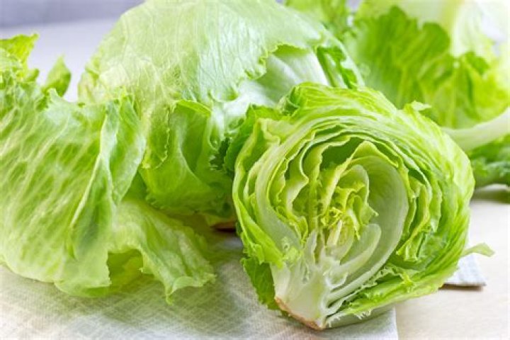 Should you wash iceberg lettuce before eating?