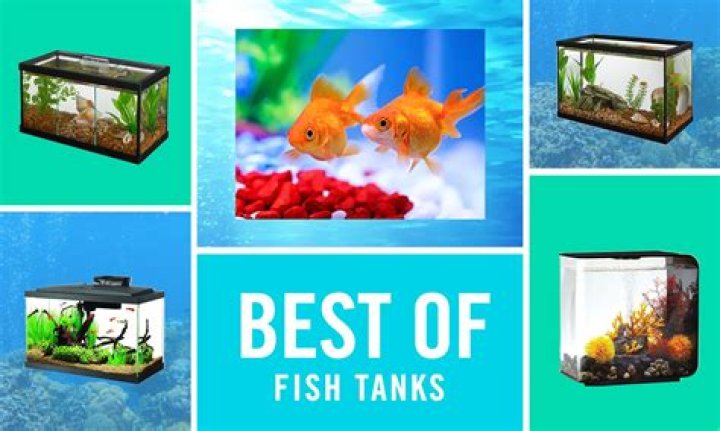 What's the best water for a fish tank?