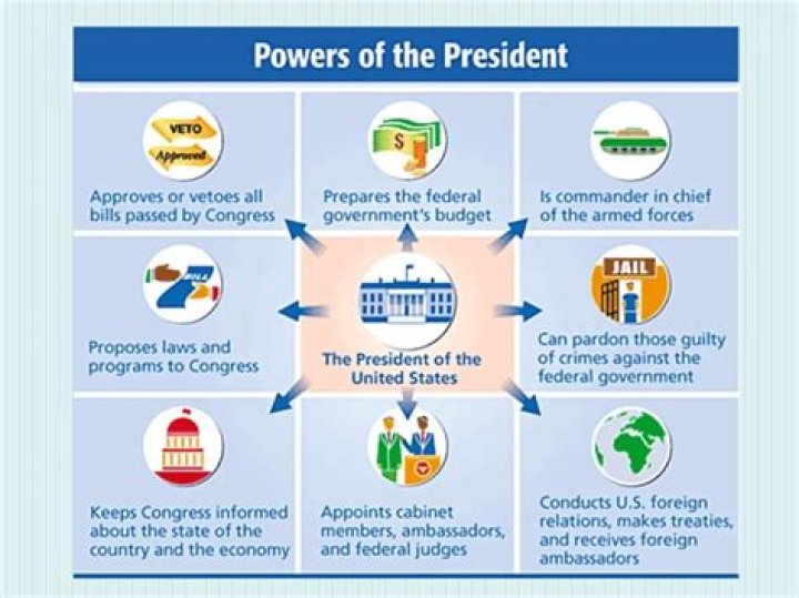 What are the 3 powers of the president?