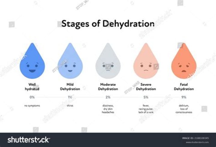 What are the different stages of dehydration?