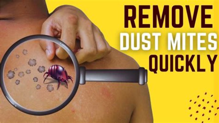 What can I use to repel dust?