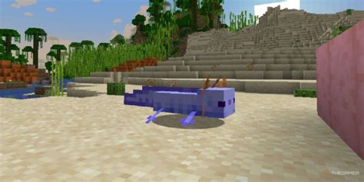 What color axolotls make blue in Minecraft?