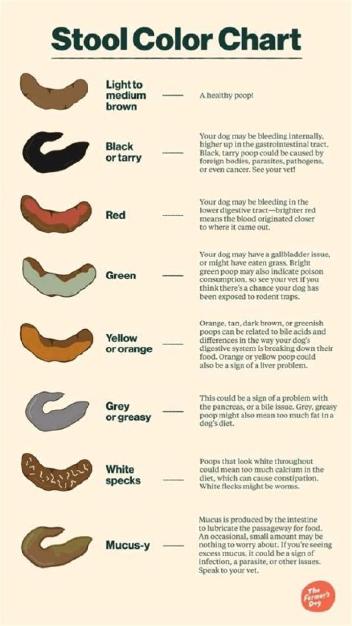 What color is poop with pancreatitis?