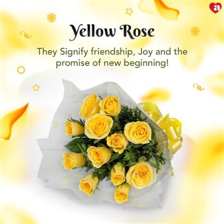 What color rose is for friendship?