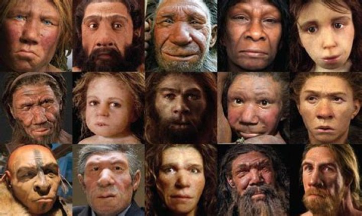 What did the earliest human look like?