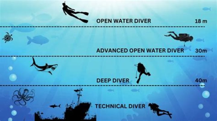 What do divers rub on their legs?