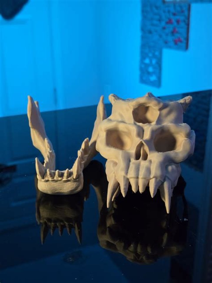 What do I do with the troll skull in Skyrim?