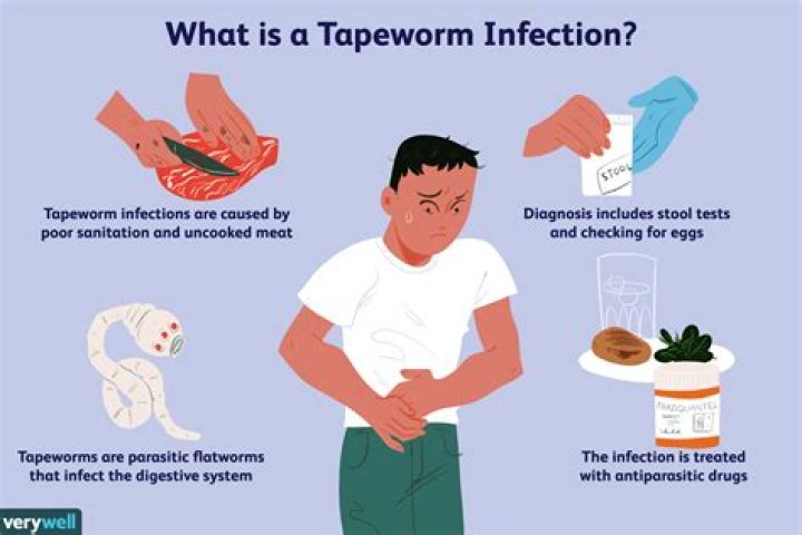 What do tapeworm eggs look like in poop?